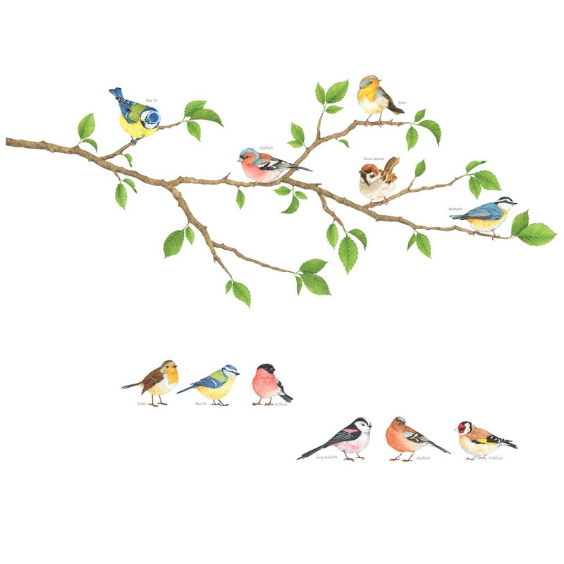 DECOWALL DS4-8036 Garden Birds Kids Wall Stickers Wall Decals Peel and Stick Removable Wall Stickers for Kids Nursery Bedroom Living Room (Small) Decor - Image 1